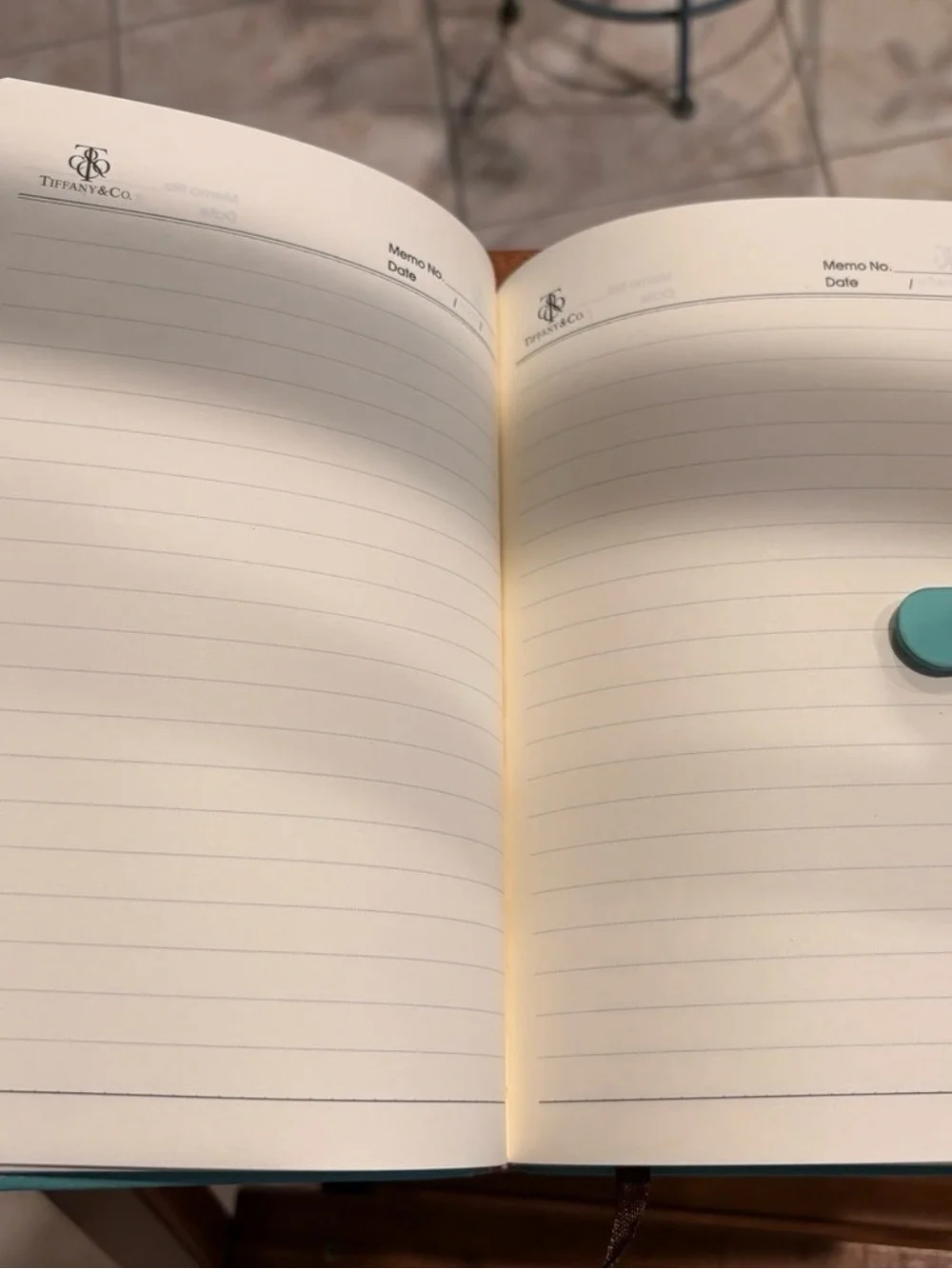 Tiffany & Co. Aqua Leather Journal with Notebook